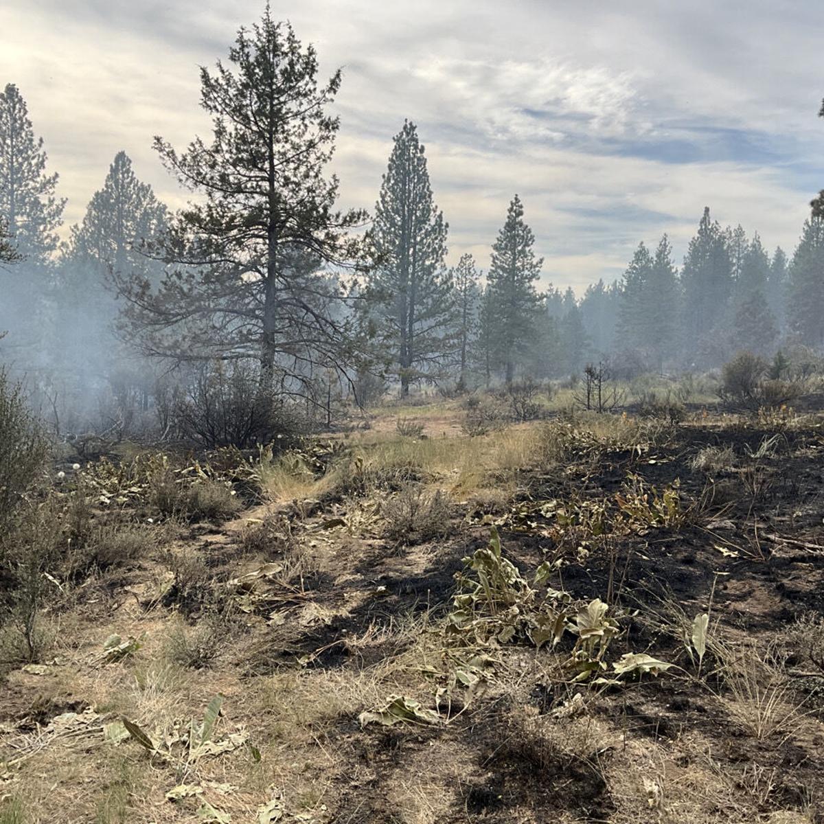 Noticias de la cuenca de Klamath, lunes 31 de julio: comience a bombear su propia gasolina el sábado; Actualización de Golden Fire: 48% contenido