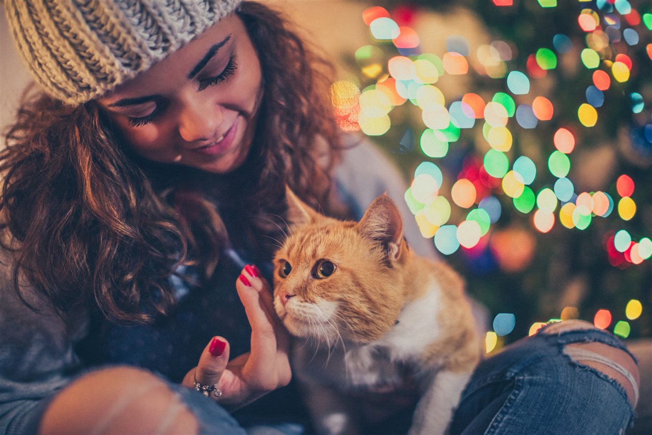 Consejos para que su gato esté feliz y sano estas fiestas y las venideras