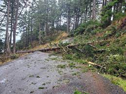 Klamath Basin News, martes 23 de enero – El Servicio Forestal de EE. UU. trabaja para limpiar cientos de árboles caídos en senderos después de tormentas severas; La recaudación de fondos para niños gravemente heridos está teniendo éxito