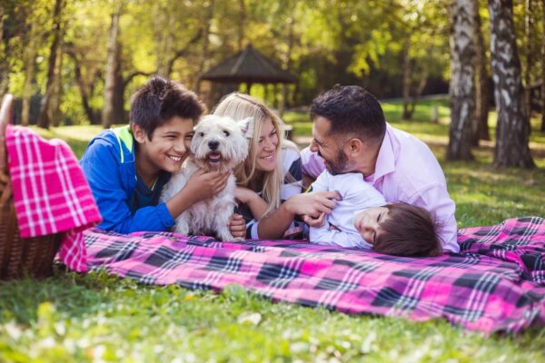 Oportunidades en todo el Estado para usted y su familia