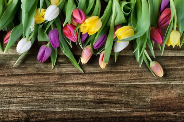 6 Consejos para mantener vivas las flores por más tiempo