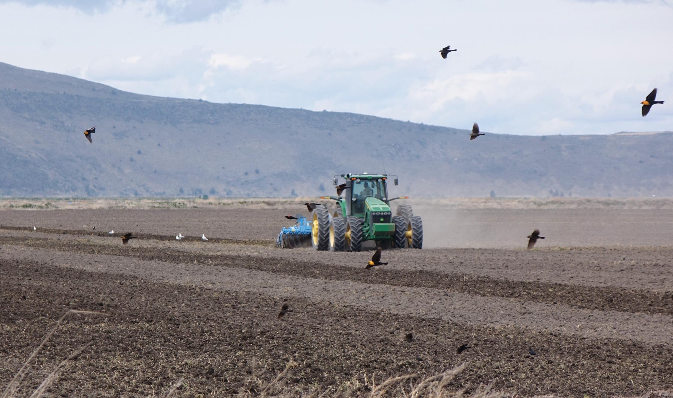 Noticias de Klamath Basin, martes 30 de diciembre: Agricultores locales reciben ayuda financiera de la administración Trump; continúa la investigación del accidente fatal de peatón; Kingsley concluye el capítulo final de los F-15 en una ceremonia especial; llega al Teatro Ross Ragland – Charlotte’s Web