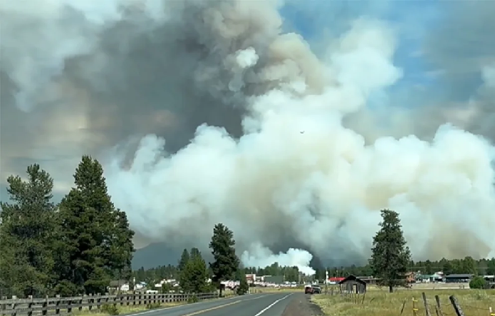 POR FAVOR Ayude a Prevenir Incendios Forestales Causados ​​por el Hombre