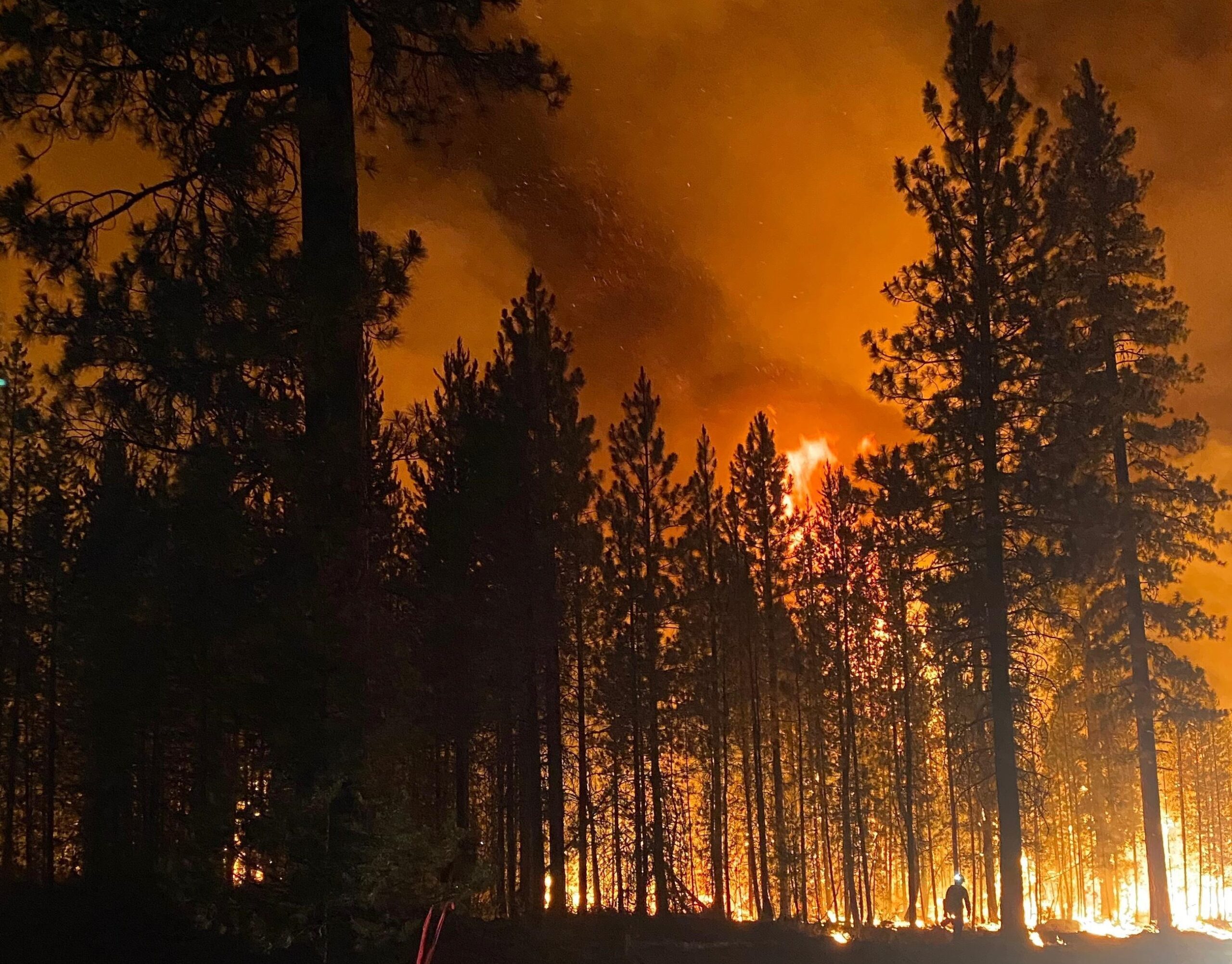 Klamath Basin News, miércoles 31/7/24 – Actualizaciones sobre incendios forestales; El Fondo de Becas Earl & Jane Ferguson selecciona a sus beneficiarios; La KFPD arresta a un hombre de Macdoel por secuestro; Ella Redkey Pool presenta un nuevo tobogán acuático