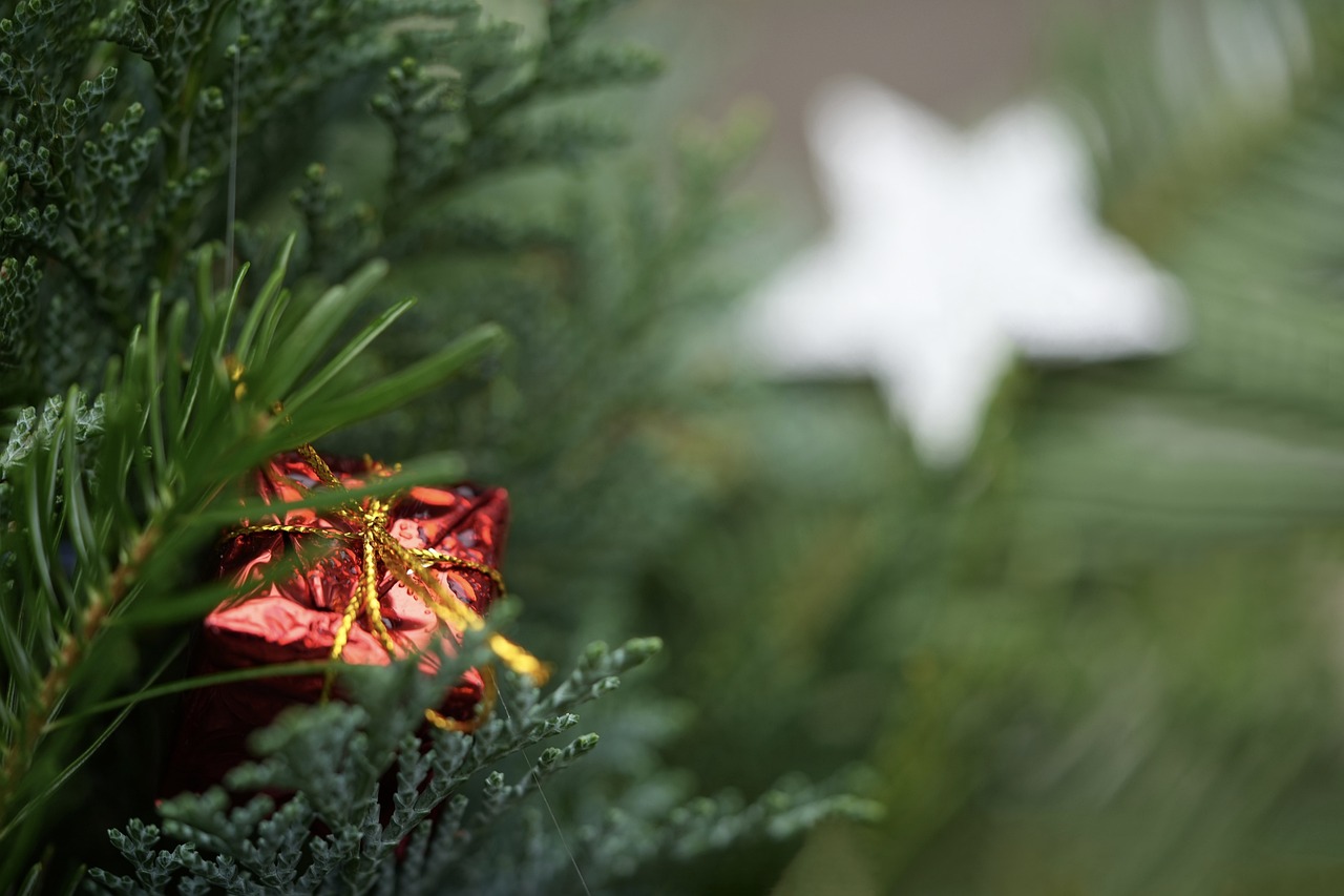 Si este año va a decorar los pasillos con un árbol de Navidad, aquí le ofrecemos algunos consejos importantes para mantener el ambiente seguro y festivo