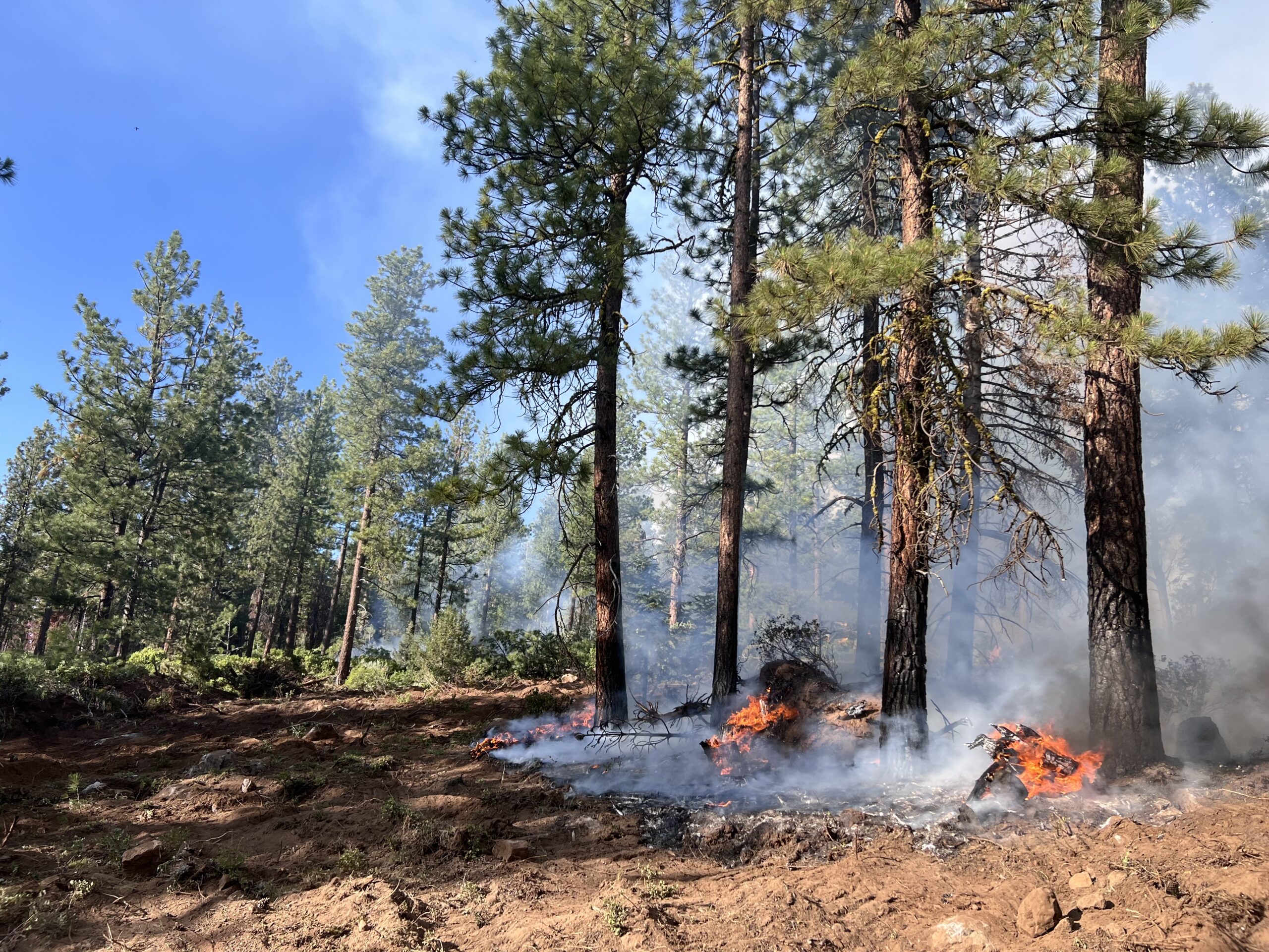 Noticias de la Cuenca de Klamath, miércoles 9/7/25: Incendio Elk cerca de Bonanza con más de 500 acres; Actualización sobre el incendio de Marble Complex en Rogue Valley; Comidas de verano gratuitas para niños disponibles a través del sitio web del Departamento de Educación de Oregón