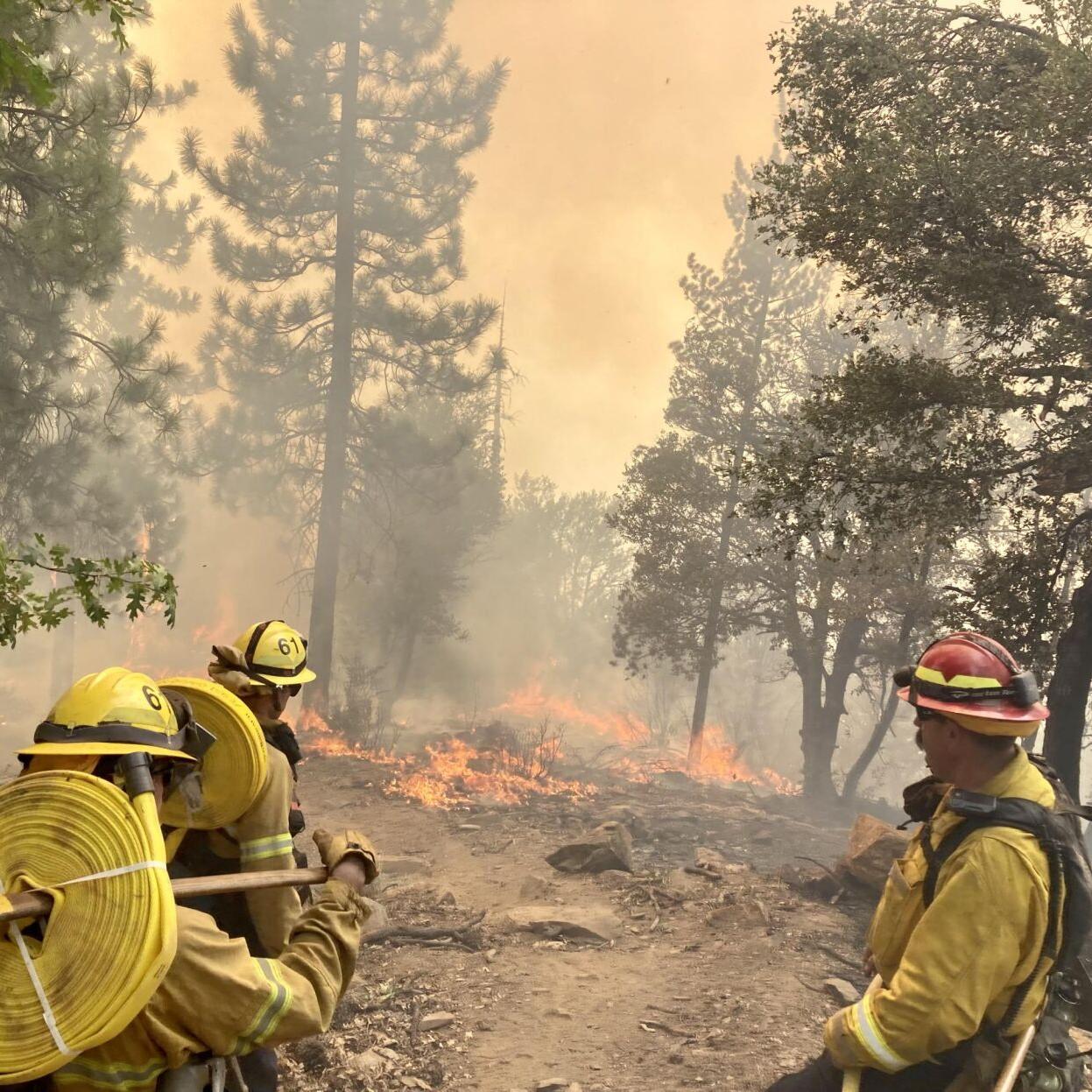 Noticias de Klamath Basin, lunes 6/9/25: El incendio Blue está contenido solo en un 13 %: Actualizaciones sobre el incendio Log & Dillion; 5 arrestados en Rogue Valley por cargos de explotación infantil; la manifestación Cycle Oregon 2025 recorre el sur de Oregón