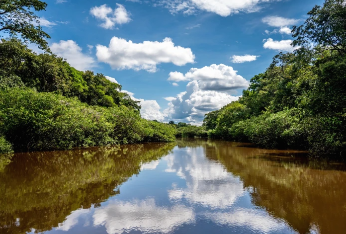 El aumento de la demanda de oro amenaza la salud del Amazonas en Perú, advierte el obispo