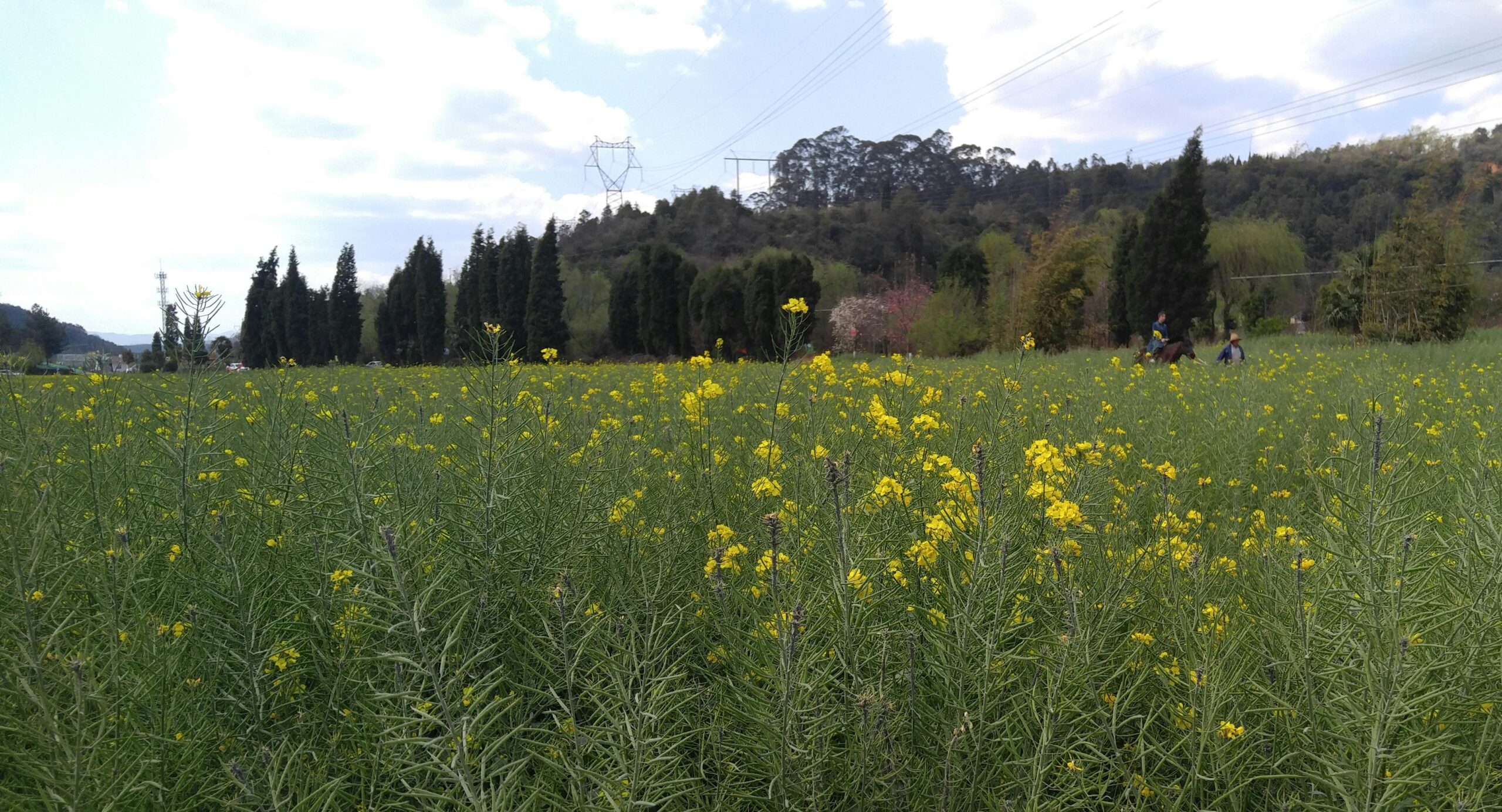 Noticias de la Cuenca de Klamath, lunes 23/3/26: Las temperaturas cálidas continúan durante las vacaciones de primavera; la Universidad de Oregón aumenta las tasas de matrícula; un grupo de vigilancia demanda a Oregón por el derecho a votar sobre el proyecto de ley del impuesto a la gasolina; ODOT: la retirada de neumáticos con clavos es el 1 de abril