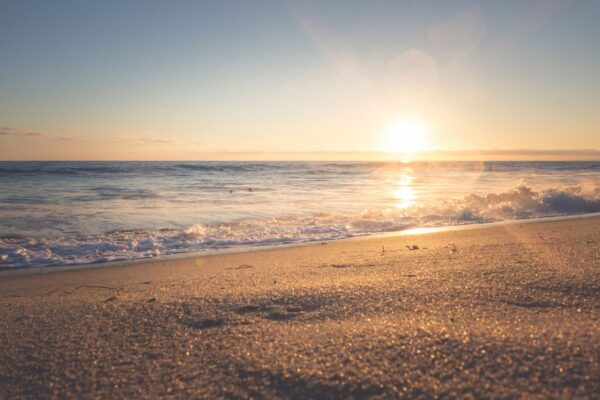 Las Mejores Playas para Visitar en Oregón Este Verano