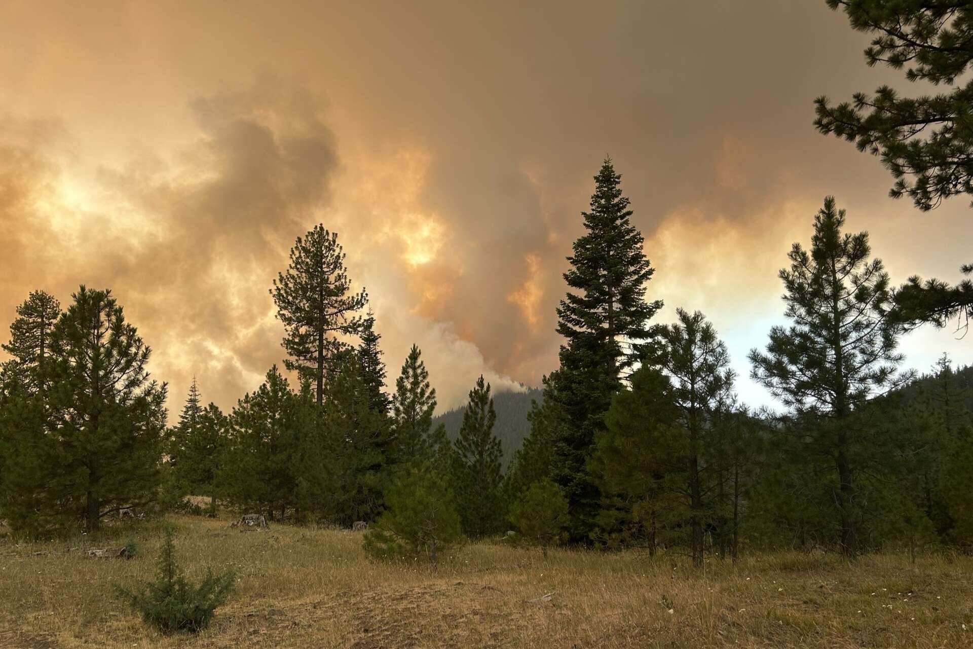 Noticias de la Cuenca de Klamath, miércoles 22/07/2026 – Los bomberos de Oregón combaten actualmente más de 100 incendios; Motociclista de Eagle Point muere en la autopista 140; Cómo prepararse para los cortes de energía; Exposición de trenes del Club de Ferrocarriles en Miniatura de Klamath en marcha