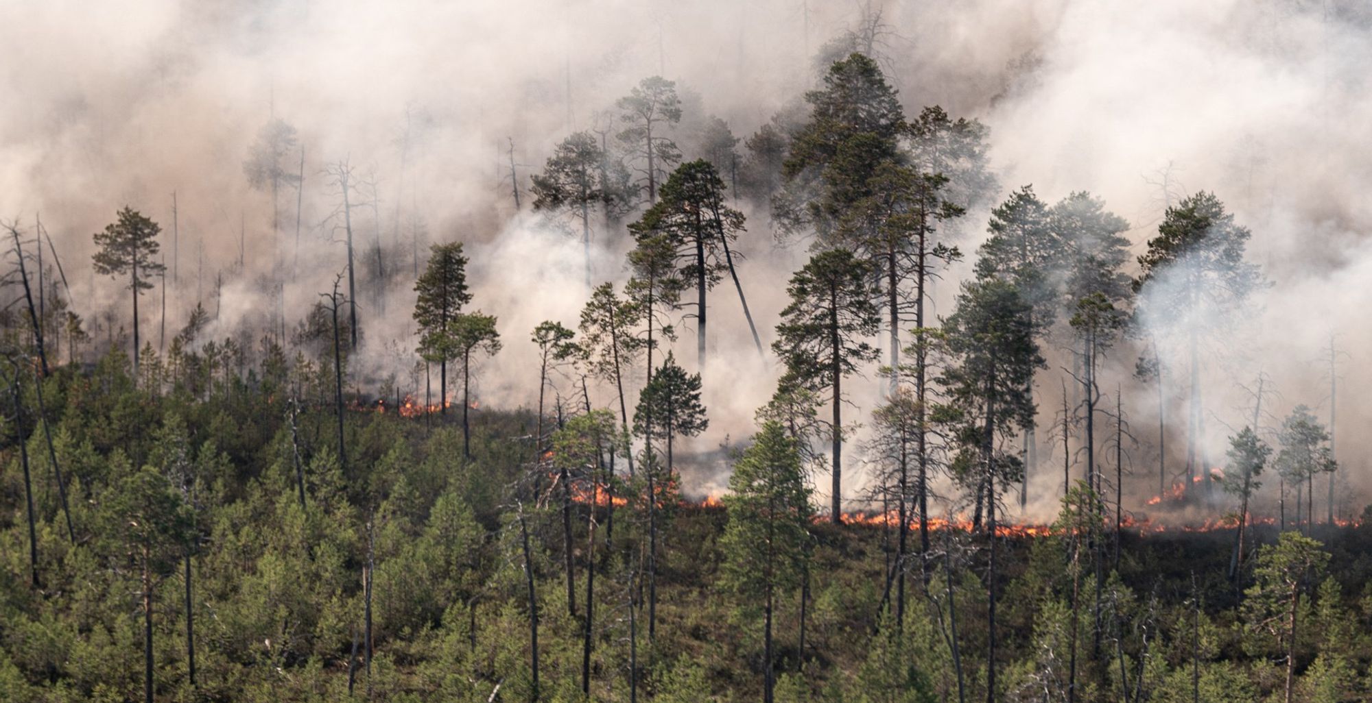 Noticias de la Cuenca de Klamath, jueves 23/7/2026 – Decenas de incendios forestales persisten en Oregón; Cambios en la intersección de Esplanade y Wall St.; Donación de sangre de la Cruz Roja le da entrada gratuita a la feria del condado; Hombre de Medford dispara por un lugar de estacionamiento