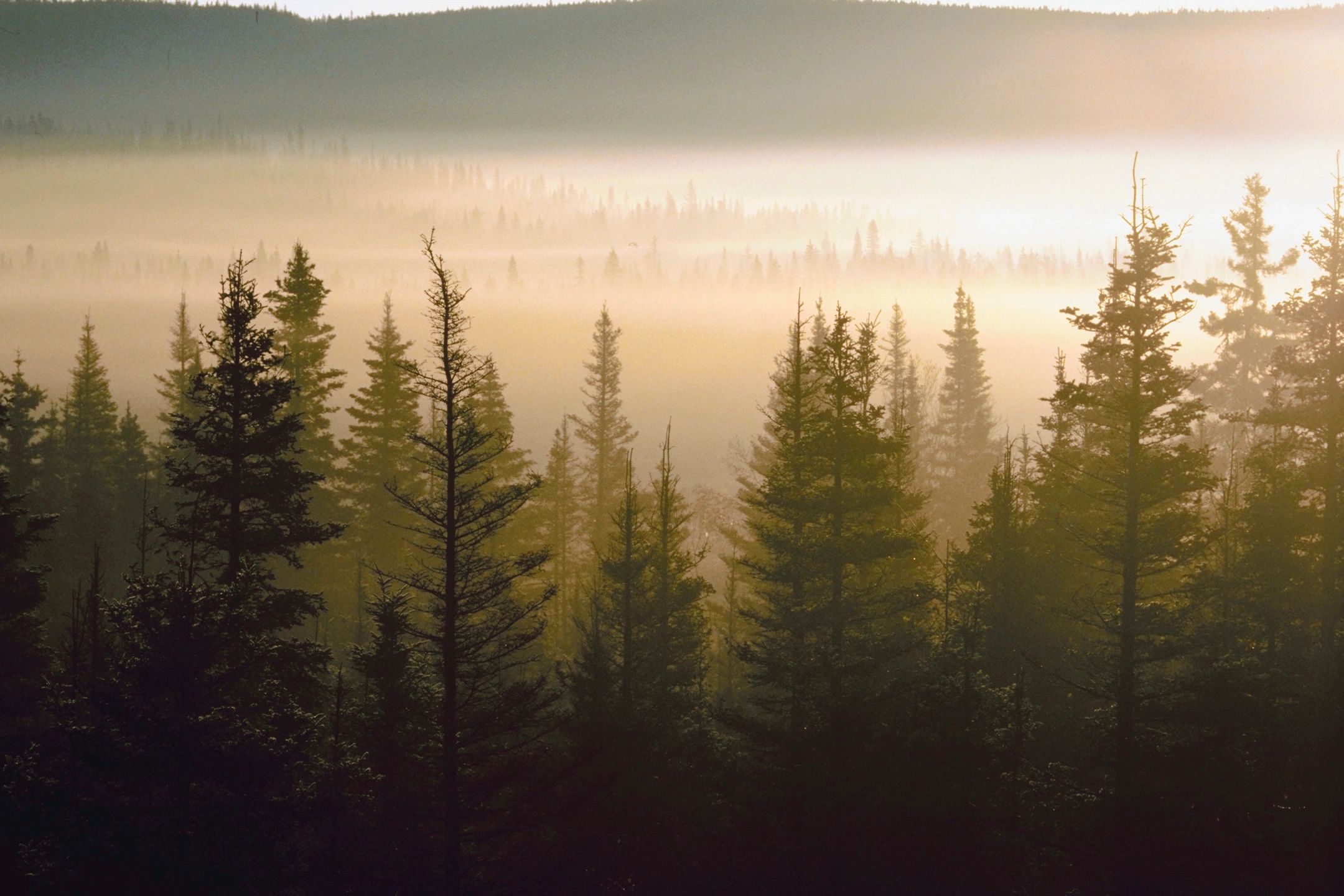 Klamath Basin News, Wednesday, 8/12/2026 -Wrights Spring Fire at 52,531 Acres Burned, 5% contained; Donations Needed For Fire Victims; Drought Relief Resources Available From State of Oregon