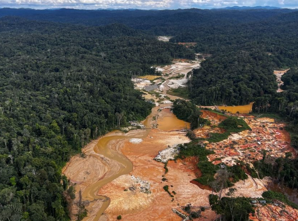 Tecnología al servicio del crimen: alertan sobre amenazas a la Amazonía