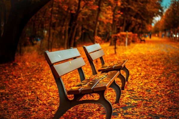 🍂 10 actividades de otoño para disfrutar en familia en el sur de Oregón